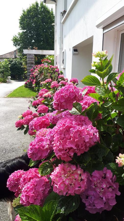 Chambre D'Hotes Les Hortensias Gelos Exteriör bild